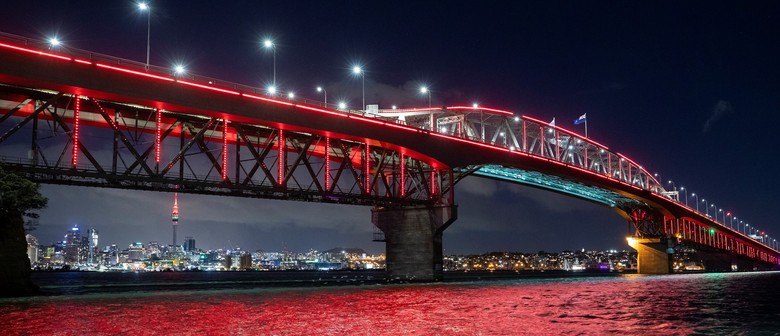 Vector Lights for Anzac Day 2025