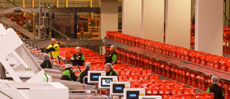 Behind the Scenes: Visit T&G’s High-Tech Apple Packhouse