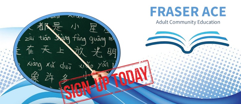 Chinese Language for Beginners