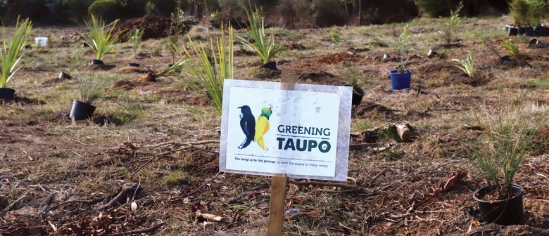 Greening Taupo Community Planting Day
