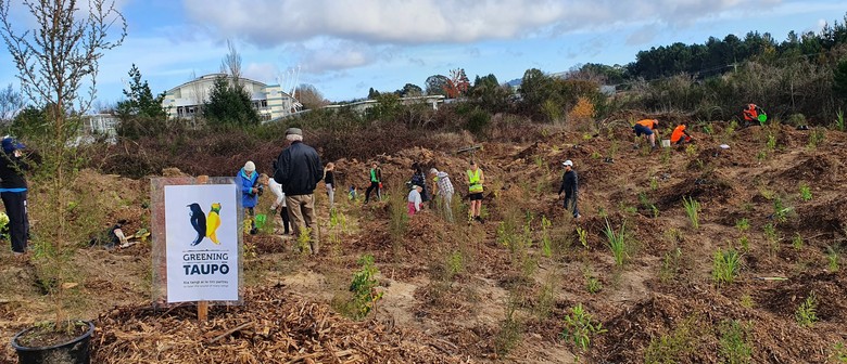 Greening Taupō Community Power Planting Day
