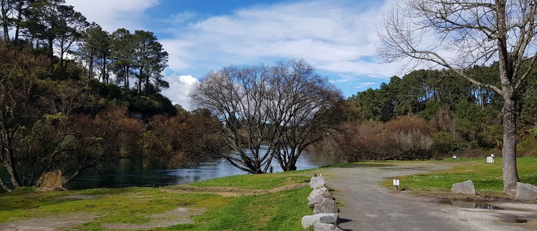 Greening Taupo Community Planting Day