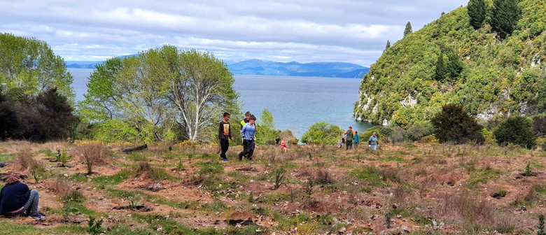 Greening Taupō Community Planting Day