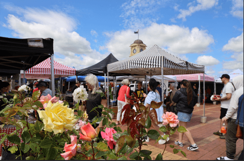 Feilding Farmers Market