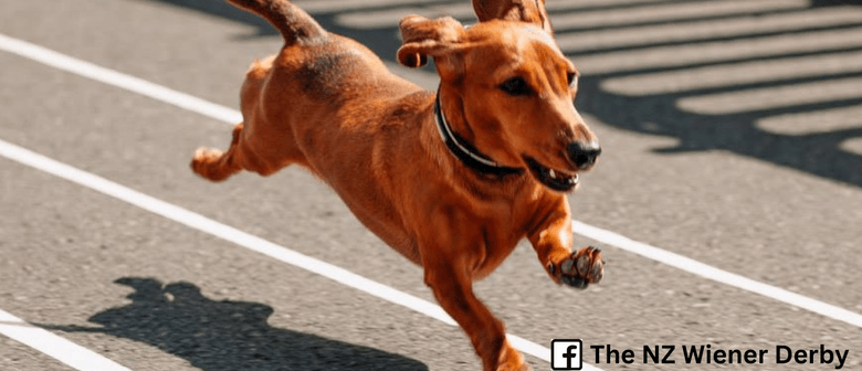 The Official NZ Wiener Derby