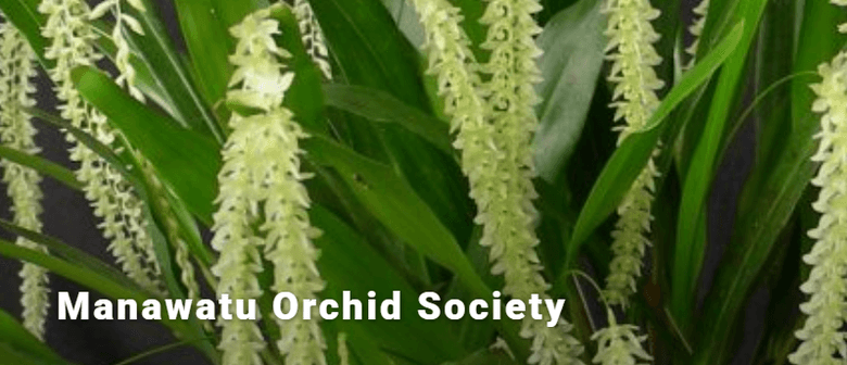 Autumn Orchid Show - Manawatu Orchid Society