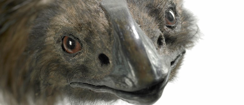 Magnificent Moa Day