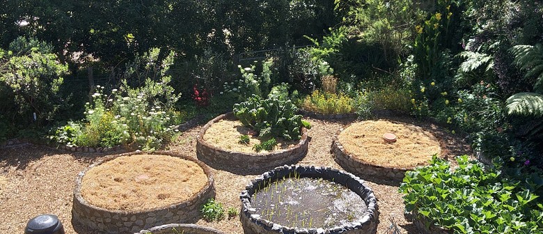 Permaculture Sustainable Backyards Course