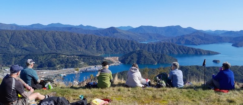 Gondola Hill Walk