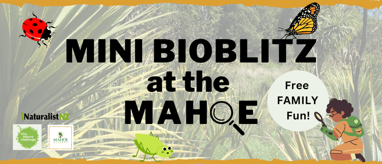 Mini BioBlitz 
