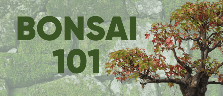 Bonsai 101