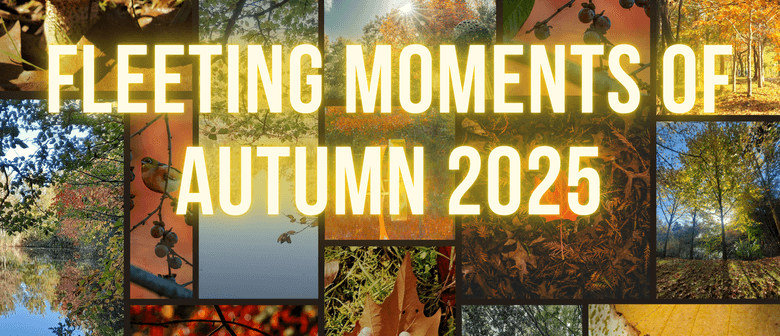 Fleeting Moments Photography Competition