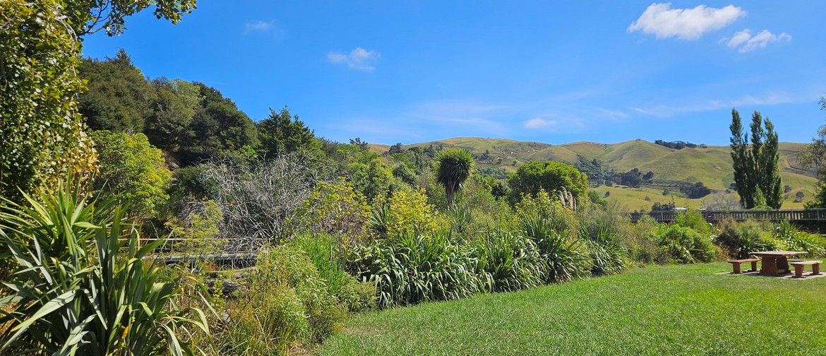 Explore and Celebrate the Mahitahi/Maitai: POSTPONED