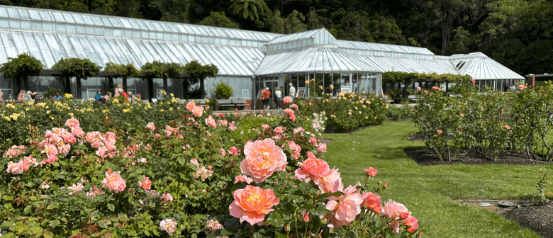 Walk, Talk, and Inspire: Become a Garden Guide!