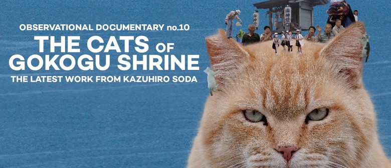The Cats of Gokogu Shrine