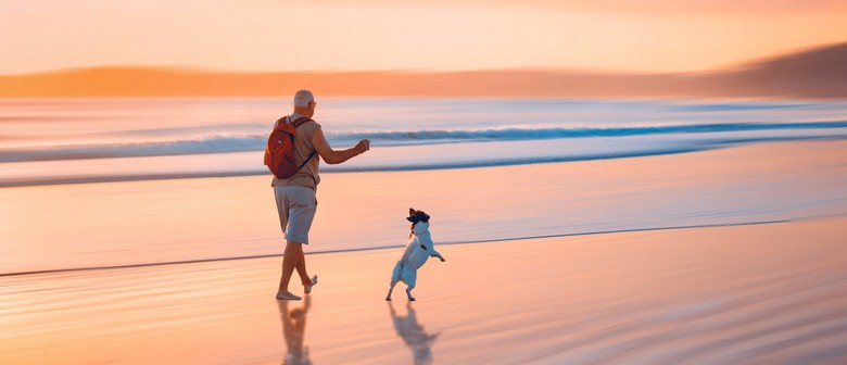 Picture Perfect: Photography Tips with the HCPC