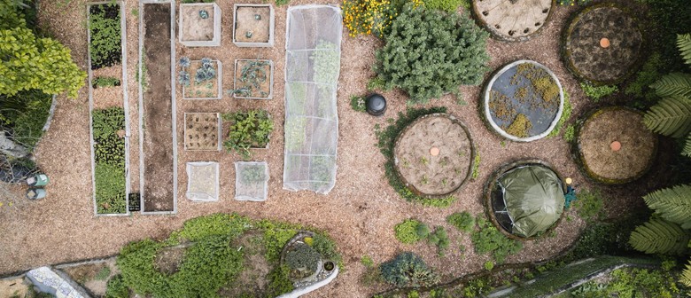 Introduction to Permaculture Course