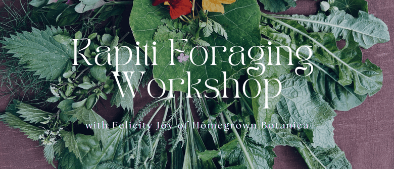 Kapiti Wild Edible Weeds Foraging Workshop