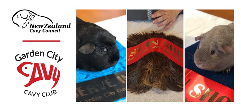 Guinea Pig Show