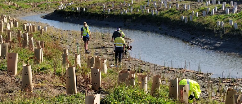 Wadeson Island Working Bee