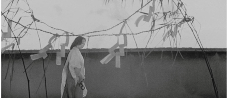 PN Film Society - Rashomon