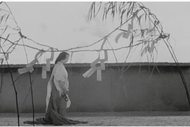 PN Film Society - Rashomon