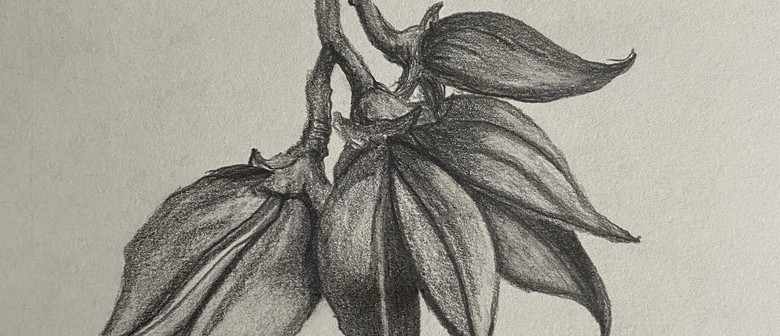 'beginner's Art' - a Term of Drawing