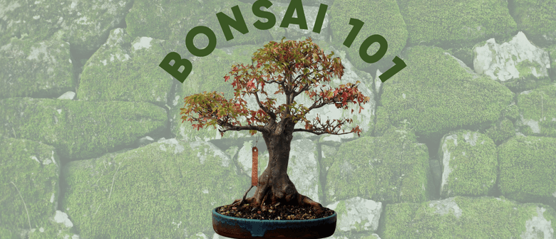 Bonsai 101