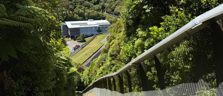 Conservation Kōrero: Our Next Line of De-Fence