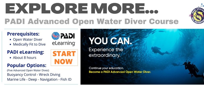 Padi Advanced Open Water Course