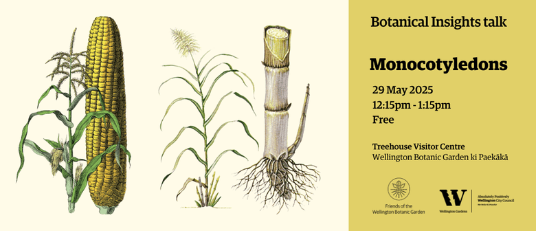 The Monocotyledons - Insights Talk