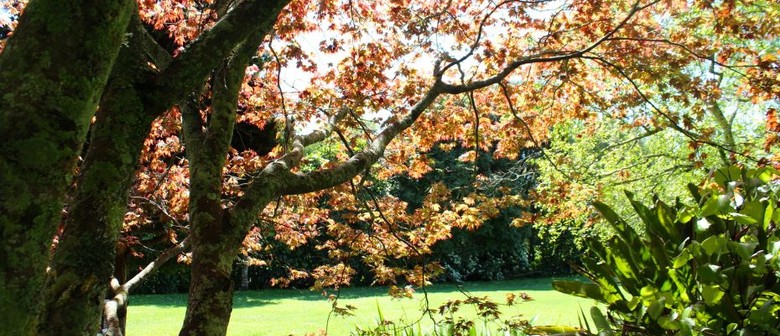 Natural Ease and Mindful Living