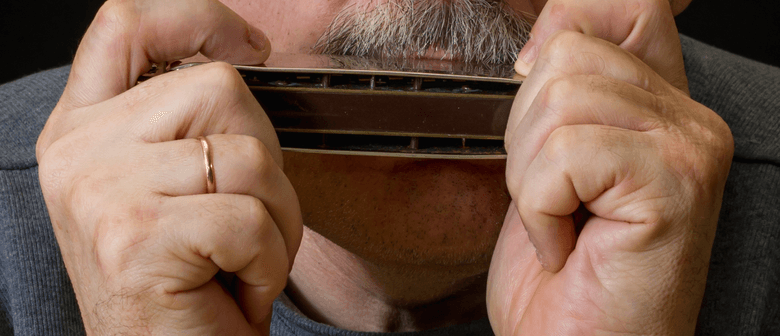 Blues Harp Mouth Organ Workshop