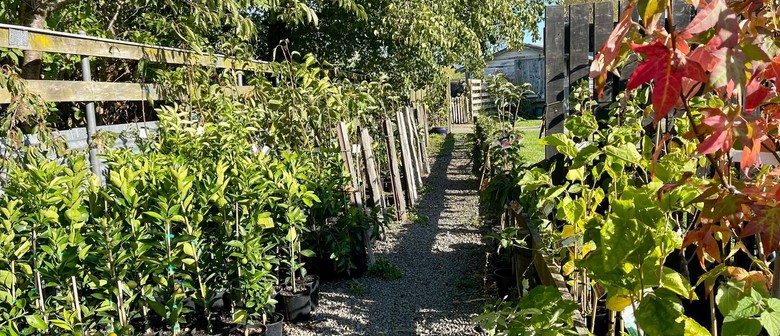 NZTCA Edible Garden Nursery Tour & Talk