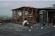 PN Film Society - Ghost Dog: Way of The Samurai