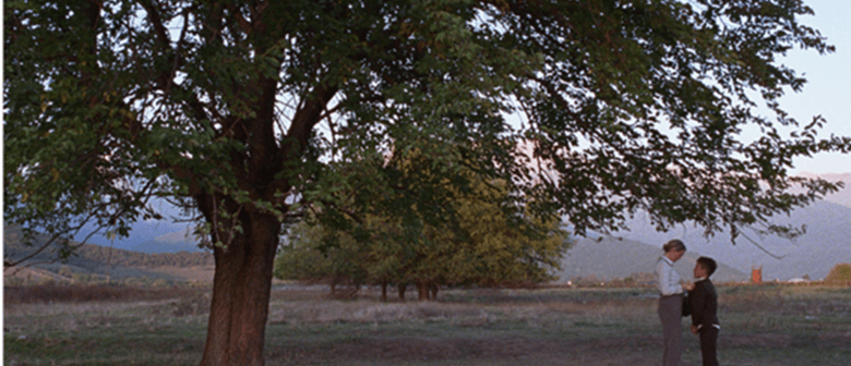PN Film Society - Beginning (Dasatskisi)