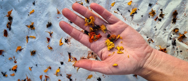 A Play Date With Botanical Colour