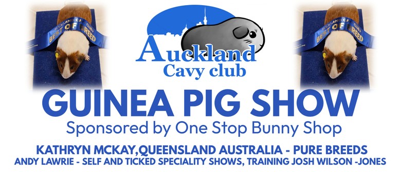 Guinea Pig Show