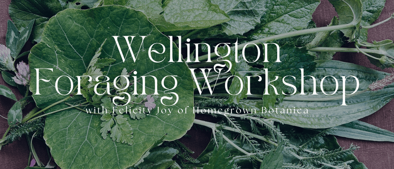 Foraging for Wild Edible Plants Wellington ~ Winter Foraging