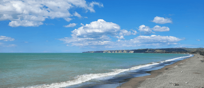 Cole Murray Cape Kidnapper Trail Run