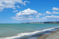 Cole Murray Cape Kidnapper Trail Run