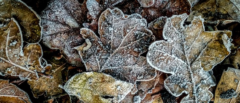 Tamariki Discover: Winter