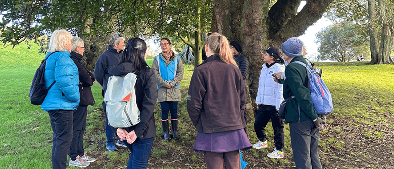 Guided Walk: Forest Bathing