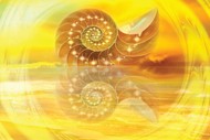 Awaken to Higher Consciousness