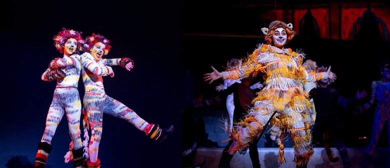 NYT Presents CATS
