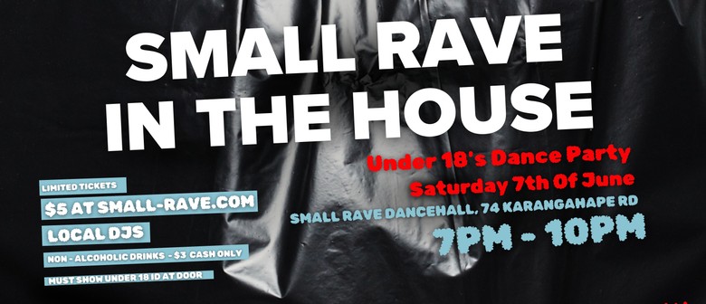 Small Rave In the House - Under 18's Dance Party