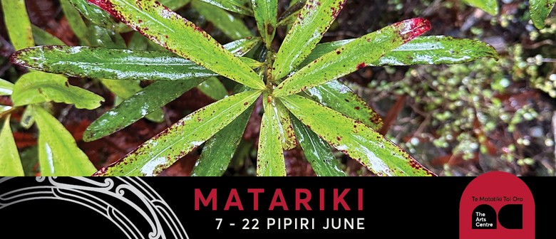 Matariki 2025  Pōhutukawa