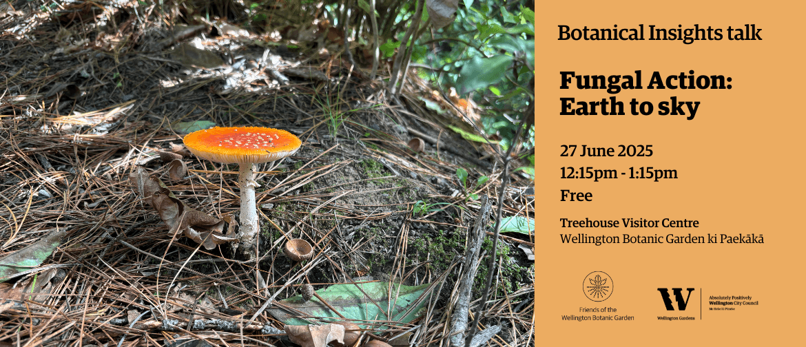 Fungal Action: Earth to Sky - Insights Talk Fungal Action: Earth to Sky - Insights Talk