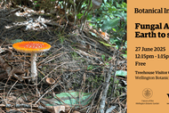 Fungal Action: Earth to Sky - Insights Talk