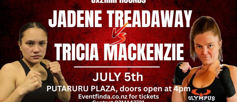 Nje Promotions presents Ironfist 18